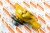 6136-61-1102 Насос водяной Помпа для Komatsu 6D105 Взаимозаменяемые номера: 6136611102